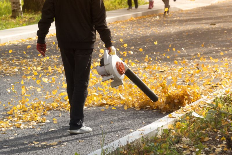 Roof Leaf Removal
