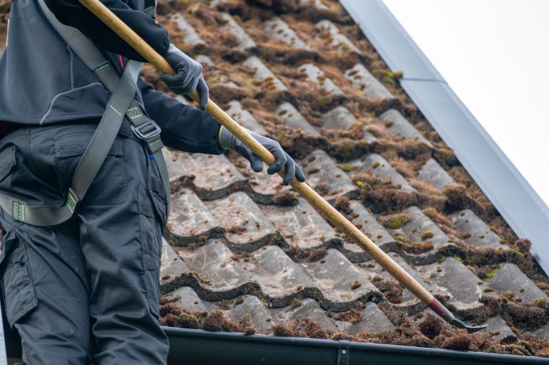 How Roof Cleaning Helps Prevent Mold, Algae, And Moss Growth