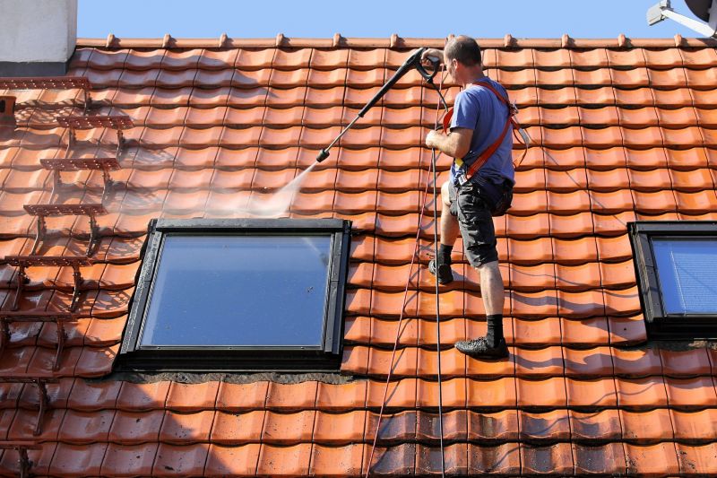 Expert Roof Cleaning