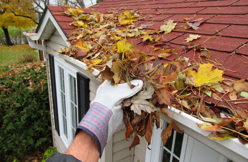 Roof Leaf Removal