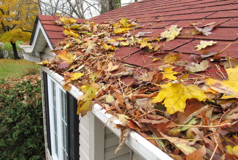 Leaves on a Roof