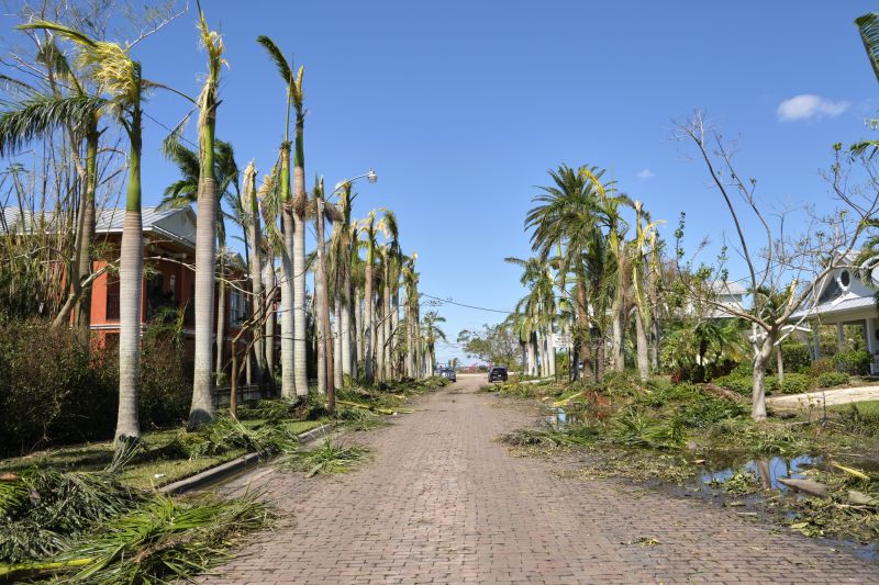 Storm Debris on Roof