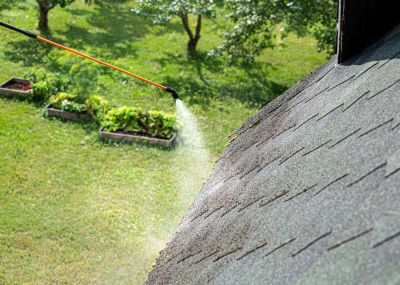 Clean Roof Surfaces