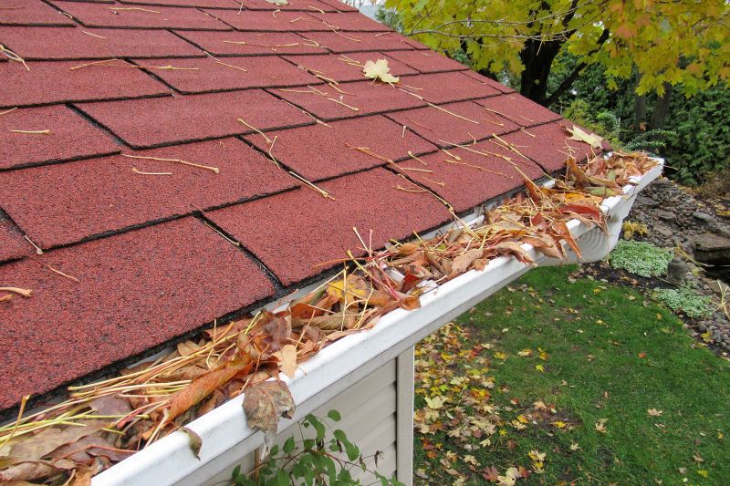 Enhance Roof Drainage