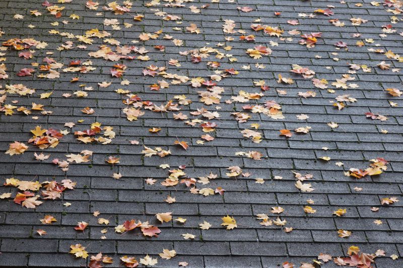 Extend Your Roof's Lifespan