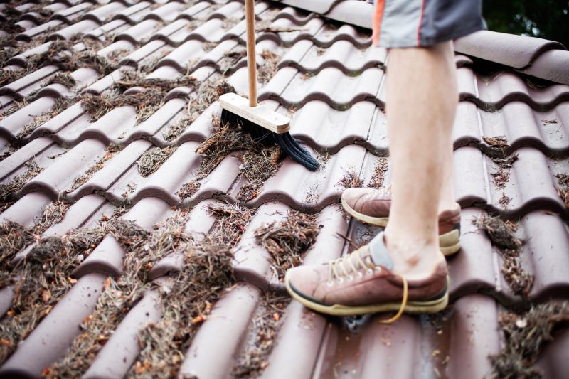 Local Roof Leaf Removal pros at work